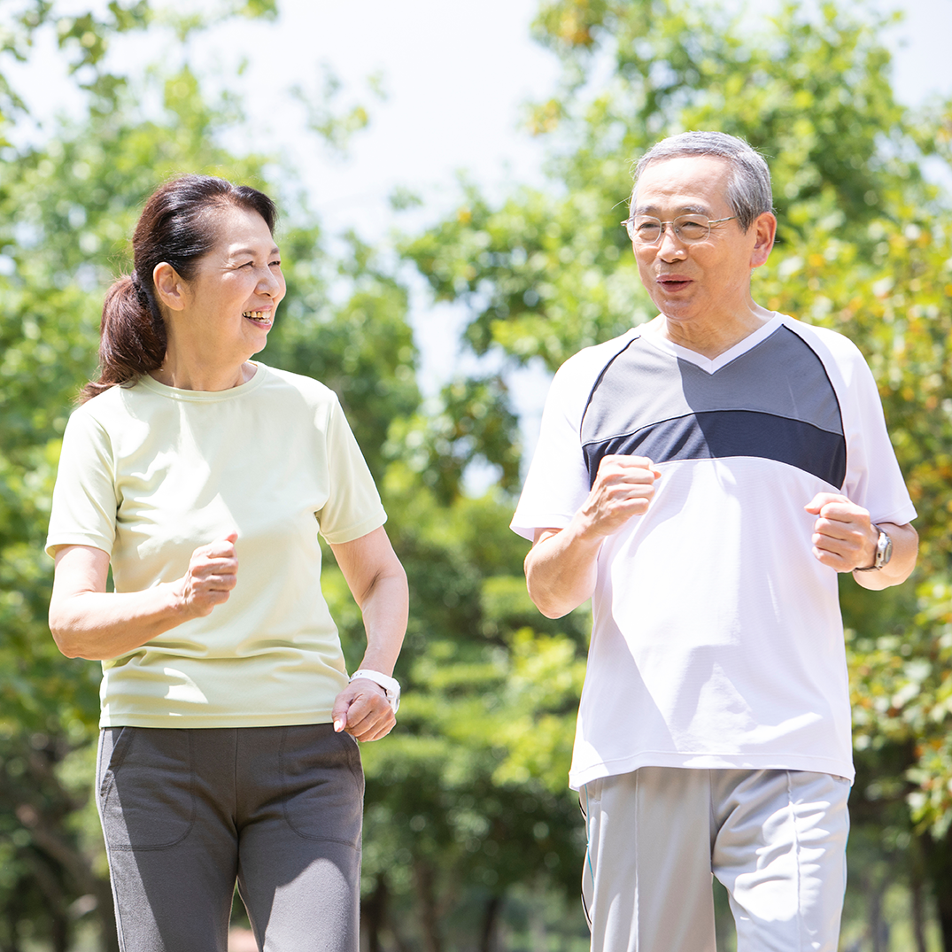 CLEMIRA Phoenix(フェニックス)